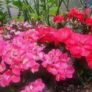 CU 관악선경점 이미지