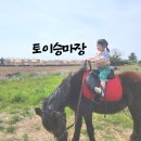 제주토이승마장 이미지