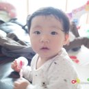 비엘트레이드 | 생후 282일. 친구 아기네 놀러가서 후기 이유식 만들고 왔어요~