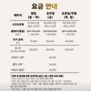 분당장터길 | 분당 근교 감성 파티룸 비채움스튜디오｜친구들과 힐링하기 좋았던 프라이빗 공간