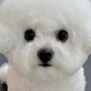 헬로루루