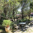 안산실내게이트볼장 이미지