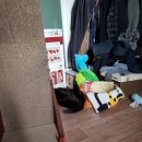 까망모래 이미지