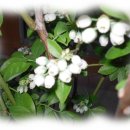 송원여관 이미지