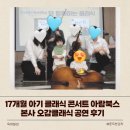 오포로 | 17개월 아기 클래식 콘서트 아람북스 본사 오감클래식 공연 후기