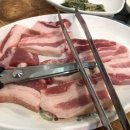 마천흑돼지 이미지