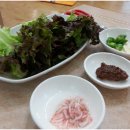 건아렌터카 이미지