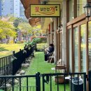 꽃길만걷개 이미지