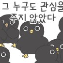 정가는짬뽕 - 공주시 우성길 41 | 정가는짬뽕
