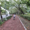 평거동 공영자전거무료대여소 이미지