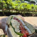 커피베이하나손해보험점 | 뉴욕베이글 송도점 내돈내산 후기 송도 센트럴파크 피크닉 필수 코스!