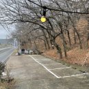 대승장어 이미지