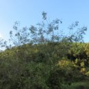 포항시남구49 이미지