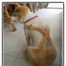 동우환경관리 이미지