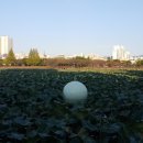 향림사소장본조상경 이미지