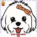 멍선생 애견카페 | 동탄8동 애견카페 멍선생 애견카페 후기 좋았던 곳 추천되는 이유는 가격과 리뷰가 좋기 때문이죠