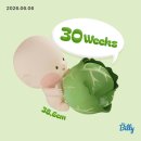 B08 | B08. 임신 후기_임신 30주차 청라여성병원~31주차 증상