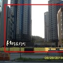 나성동_에스제이타워앞BRT 이미지