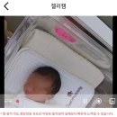 김포 나리산후조리원 아기 황달 치료 끝, 베이비스파, 신생아 눈곱 관리