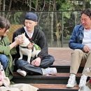 젬마동물병원 이미지