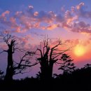 태백산목장 이미지