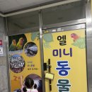 엘 미니동물원 이미지