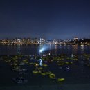 동막골레져