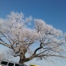 산내들어린이집 이미지