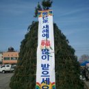 철원의아들
