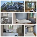 온평동로 | 제주독채민박 103동 찐 후기 소담이네돌집