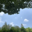 청계 맑은숲공원 이미지