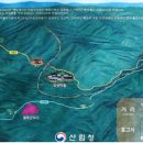자작나무화원