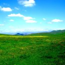 평원농장 이미지