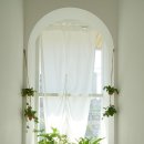 (주)에이피스튜디오 이미지