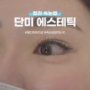 단미에스테틱 - 중구 | 청라 속눈썹맛집 LED연장 후기 ㅣ 단미에스테틱