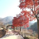 병목안시민공원 이미지