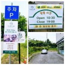 커피 한 잔으로 하루 기분 좋기 기흥구카페 티스컵스 커피 핸드 드립 후기