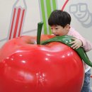 거창사과테마파크 전시실 이미지