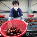 동충주농협 소태지점 이미지