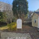 금성초등학교 이미지