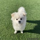 아이조아요양보호소 대구점 이미지