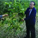 고양1호농장 이미지