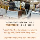 서흥농장 이미지