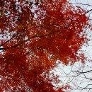 선학산전망대 이미지