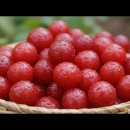 진정1농장 이미지