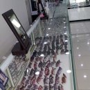 용천약국 이미지