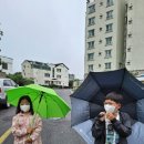 다이소표선점 이미지