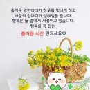 홀로 시간은 독(毒)이라 하네 이미지