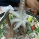 남도뻘낙지 이미지