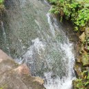 황금터부동산중개사무소 이미지